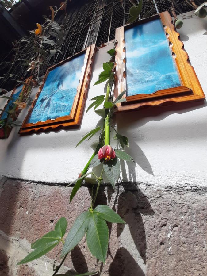 Hotel La Casa De Laura - Plaza Cuzco Zewnętrze zdjęcie