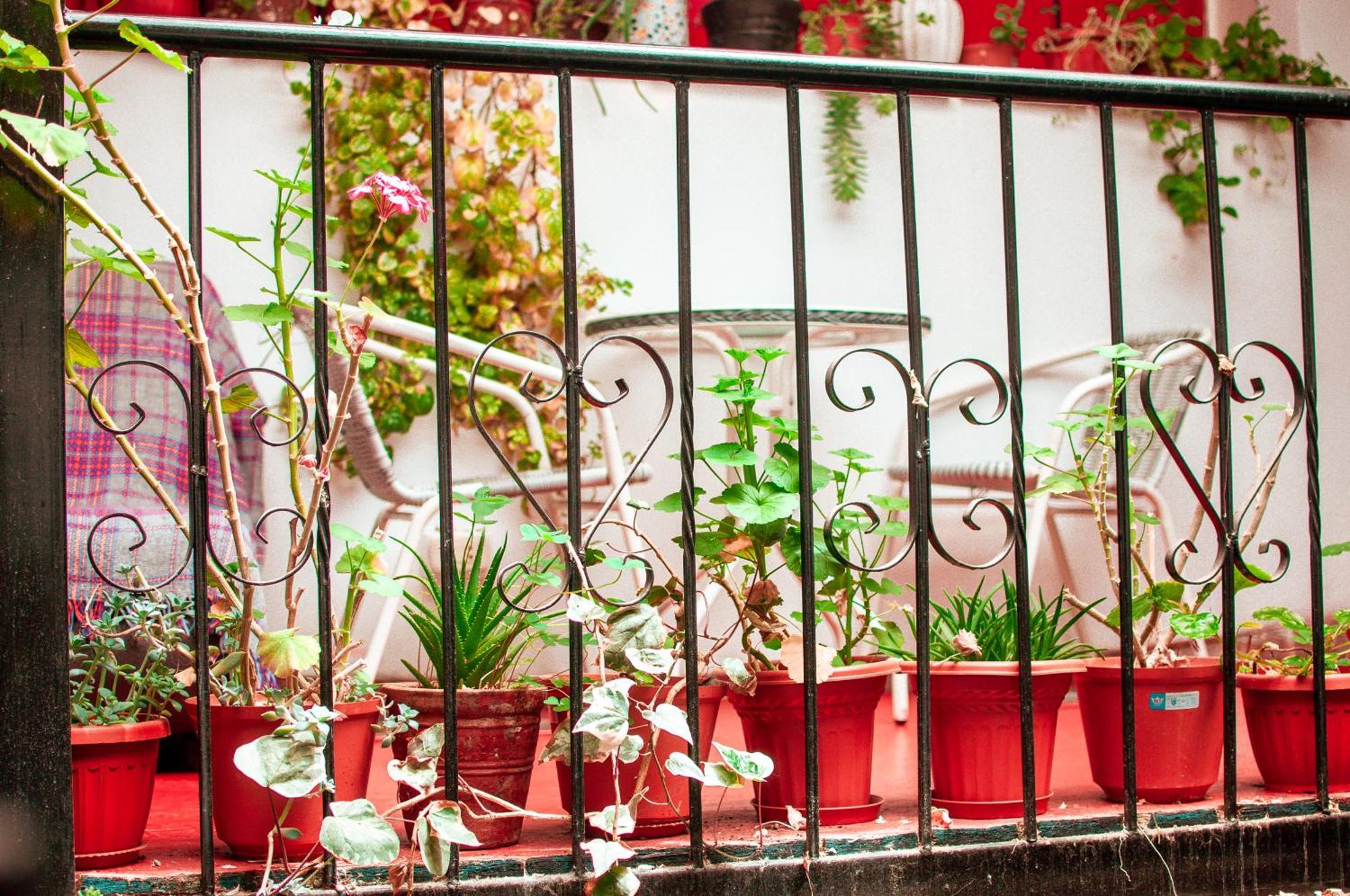 Hotel La Casa De Laura - Plaza Cuzco Zewnętrze zdjęcie